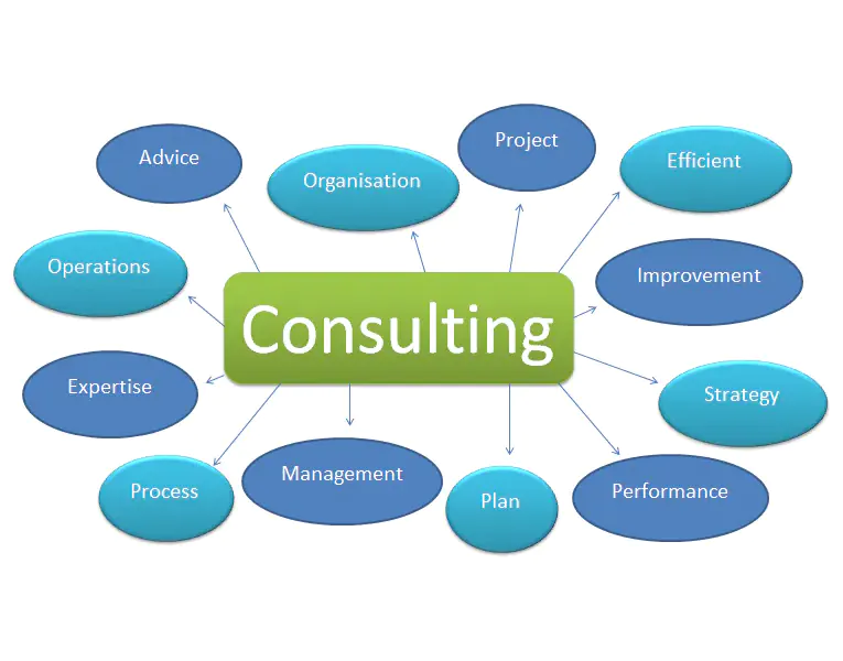 Consulting Scope of Support